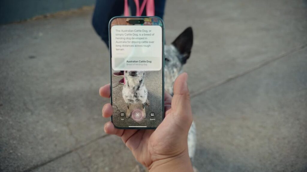 Hur man använder Visual Intelligence, Apples syn på Google Lens